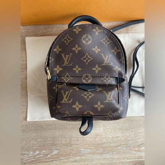 Louis Vuitton Palm Springs Mini Backpack in Monogram M41562 - Picture 3 of 13